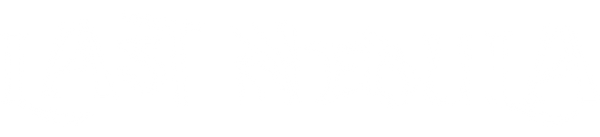 Stylized white logo for Last Nebula clothing brand on a transparent background